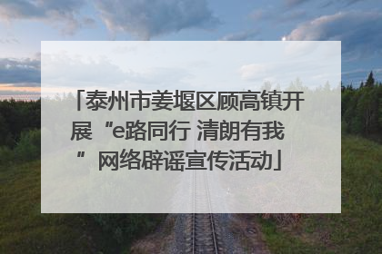 泰州市姜堰区顾高镇开展“e路同行 清朗有我”网络辟谣宣传活动