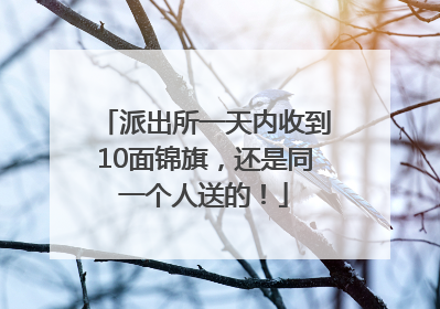 派出所一天内收到10面锦旗，还是同一个人送的！