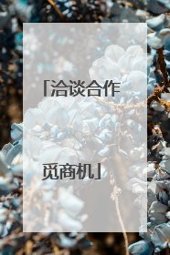 洽谈合作觅商机