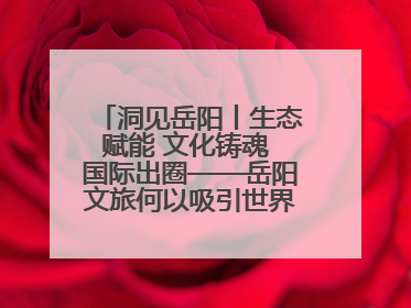 洞见岳阳丨生态赋能 文化铸魂 国际出圈——岳阳文旅何以吸引世界目光？