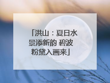洪山：夏日水景添新韵 碧波粉黛入画来