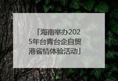 海南举办2025年台青台企自贸港省情体验活动