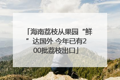 海南荔枝从果园“鲜”达国外 今年已有200批荔枝出口