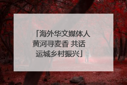 海外华文媒体人黄河寻麦香 共话运城乡村振兴