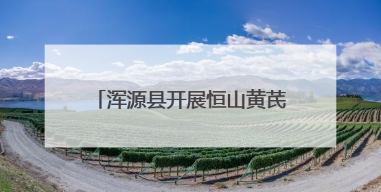 浑源县开展恒山黄芪市场秩序整治行动