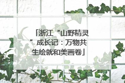 浙江“山野精灵”成长记：万物共生绘就和美画卷