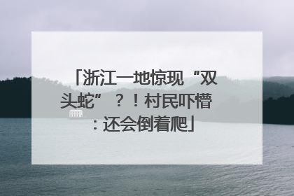 浙江一地惊现“双头蛇”？！村民吓懵：还会倒着爬