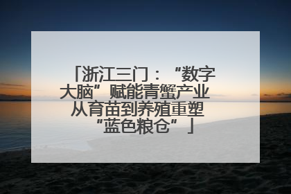 浙江三门：“数字大脑”赋能青蟹产业 从育苗到养殖重塑“蓝色粮仓”