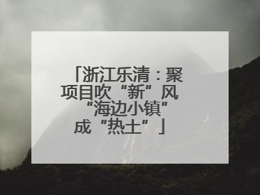 浙江乐清：聚项目吹“新”风 “海边小镇”成“热土”
