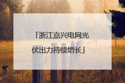 浙江嘉兴电网光伏出力持续增长