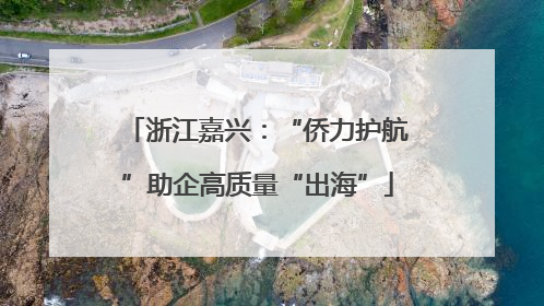 浙江嘉兴：“侨力护航”助企高质量“出海”