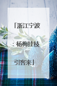 浙江宁波：杨梅挂枝引客来