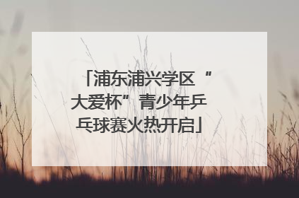 浦东浦兴学区“大爱杯”青少年乒乓球赛火热开启