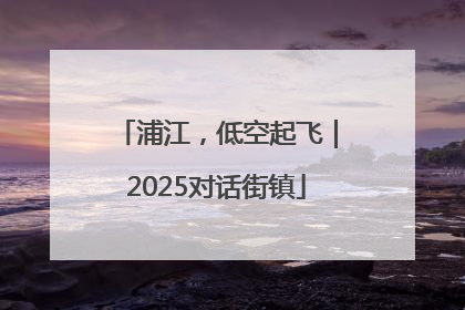 浦江，低空起飞｜2025对话街镇