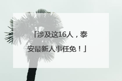 涉及这16人，泰安最新人事任免！