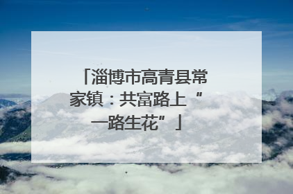 淄博市高青县常家镇：共富路上“一路生花”