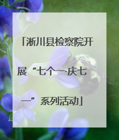 淅川县检察院开展“七个一·庆七一”系列活动