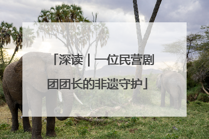 深读｜一位民营剧团团长的非遗守护