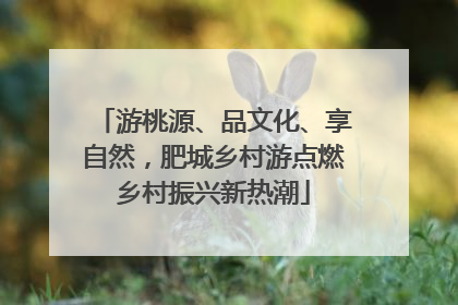 游桃源、品文化、享自然，肥城乡村游点燃乡村振兴新热潮