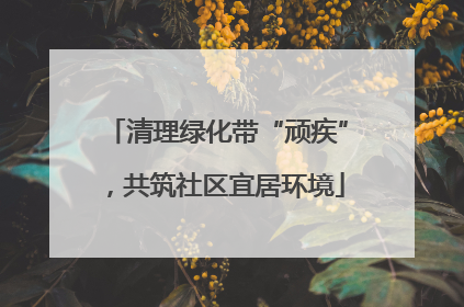 清理绿化带“顽疾”，共筑社区宜居环境