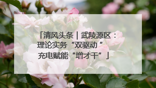 清风头条｜武陵源区：理论实务“双驱动 ” 充电赋能“增才干”