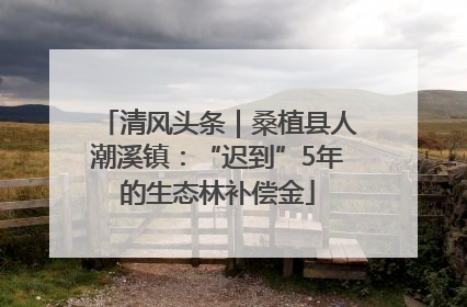 清风头条｜桑植县人潮溪镇：“迟到”5年的生态林补偿金