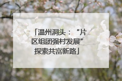 温州洞头：“片区组团强村发展”探索共富新路