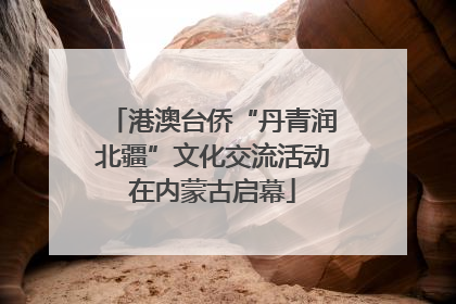 港澳台侨“丹青润北疆”文化交流活动在内蒙古启幕