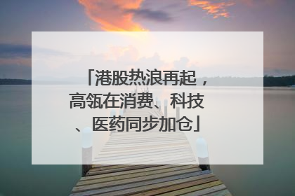 港股热浪再起，高瓴在消费、科技、医药同步加仓