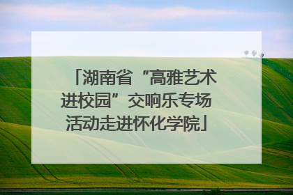 湖南省“高雅艺术进校园”交响乐专场活动走进怀化学院