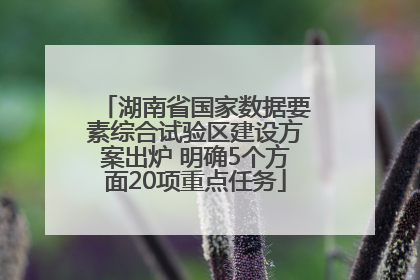 湖南省国家数据要素综合试验区建设方案出炉 明确5个方面20项重点任务