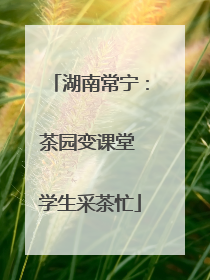 湖南常宁：茶园变课堂 学生采茶忙