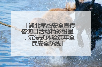 湖北孝感安全宣传咨询日活动精彩纷呈，沉浸式体验筑牢全民安全防线