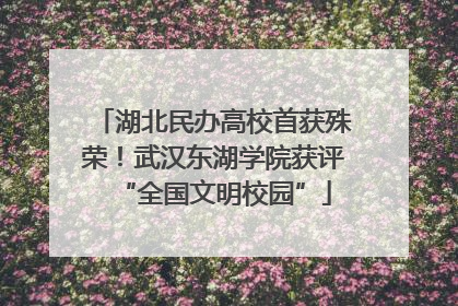 湖北民办高校首获殊荣！武汉东湖学院获评“全国文明校园”