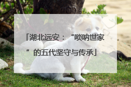 湖北远安：“唢呐世家”的五代坚守与传承