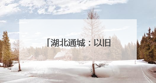 湖北通城：以旧换新激活消费热