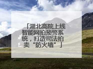 湖北高院上线智能网拍预警系统，打造司法拍卖“防火墙”
