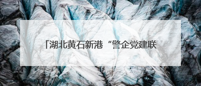 湖北黄石新港“警企党建联盟”叫响服务发展新品牌
