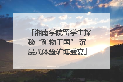 湘南学院留学生探秘“矿物王国” 沉浸式体验矿博盛宴