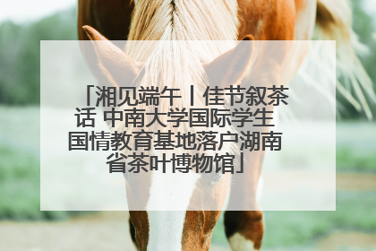 湘见端午丨佳节叙茶话 中南大学国际学生国情教育基地落户湖南省茶叶博物馆
