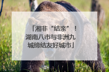 湘非“结亲”！湖南八市与非洲九城缔结友好城市