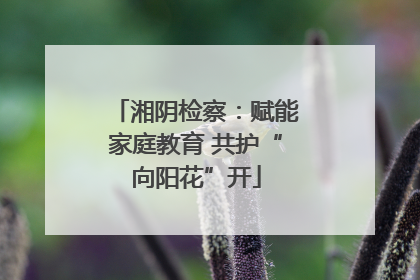湘阴检察：赋能家庭教育 共护“向阳花”开