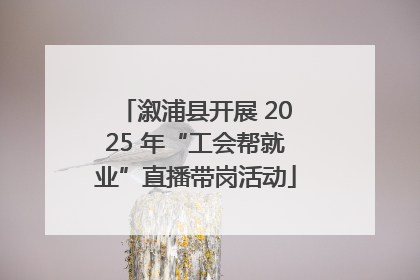 溆浦县开展 2025 年“工会帮就业”直播带岗活动