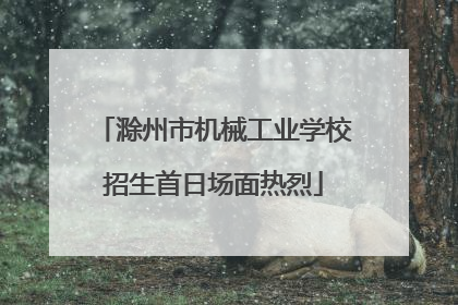 滁州市机械工业学校招生首日场面热烈