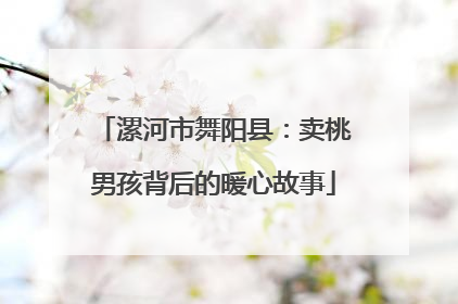 漯河市舞阳县：卖桃男孩背后的暖心故事