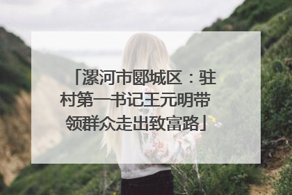 漯河市郾城区：驻村第一书记王元明带领群众走出致富路