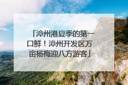 漳州港夏季的第一口鲜！漳州开发区万亩杨梅迎八方游客