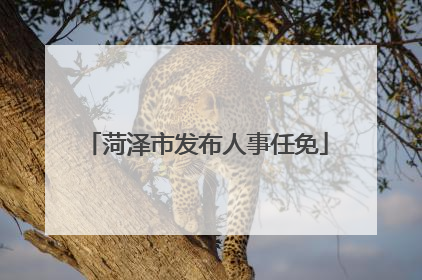 菏泽市发布人事任免