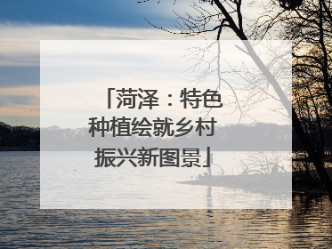 菏泽：特色种植绘就乡村振兴新图景