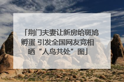 荆门夫妻让新房给斑鸠孵蛋 引发全国网友竞相晒“人鸟共处”图